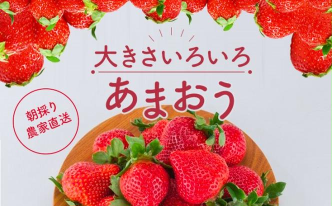 訳あり いちご 2025年2月下旬より発送 あまおう サイズ色々 4パック 約1.14kg 配送不可 離島