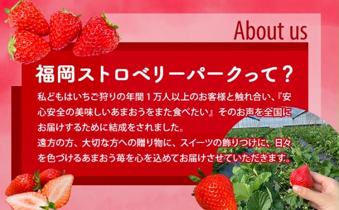 訳あり いちご 2025年2月下旬より発送 あまおう サイズ色々 4パック 約1.14kg 配送不可 離島