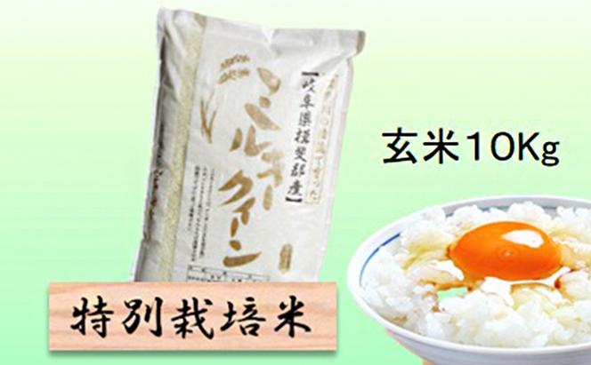 特別栽培米★玄米10kg 【ミルキークイーン】