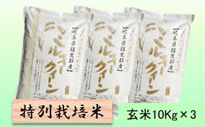 特別栽培米★玄米30kg【ミルキークイーン】10Kg×3