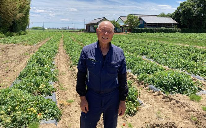 【令和6年産新米】宮城県産つきあかり 精米 白米10kg（5kg×2袋）