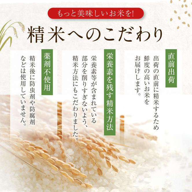 定期便 令和6年産 あきたこまち 精米 10kg（5kg×2袋）3ヶ月連続発送（合計 30kg）秋田県 男鹿市