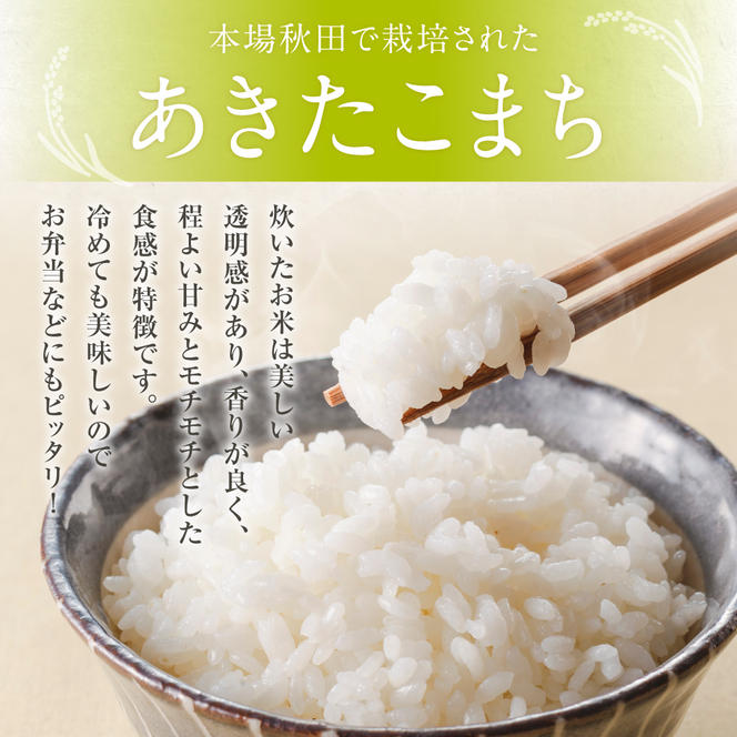 定期便 令和6年産 あきたこまち 精米 10kg（5kg×2袋）6ヶ月連続発送（合計 60kg）秋田県 男鹿市