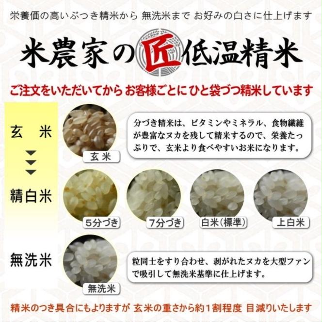 米 【令和6年産】 キヌヒカリ 10kg (5kg×2)精米 奥播州源流 芥田川産 芥田川 農家直送 10キロ 国産米 きぬひかり 贈り物 喜ばれる お米ギフト おいしいお米 お祝い 内祝い 贈答 美味しい おいしい