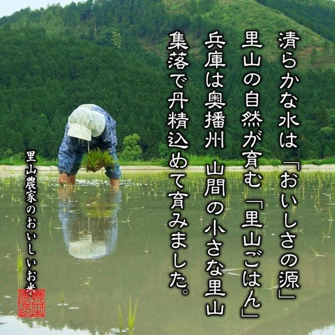 米 【令和6年産】 コシヒカリ 5kg精米 奥播州源流 芥田川産 芥田川 農家直送 5キロ 国産米 こしひかり  贈り物 喜ばれる お米ギフト おいしいお米 お祝い 内祝い 贈答 美味しい おいしい