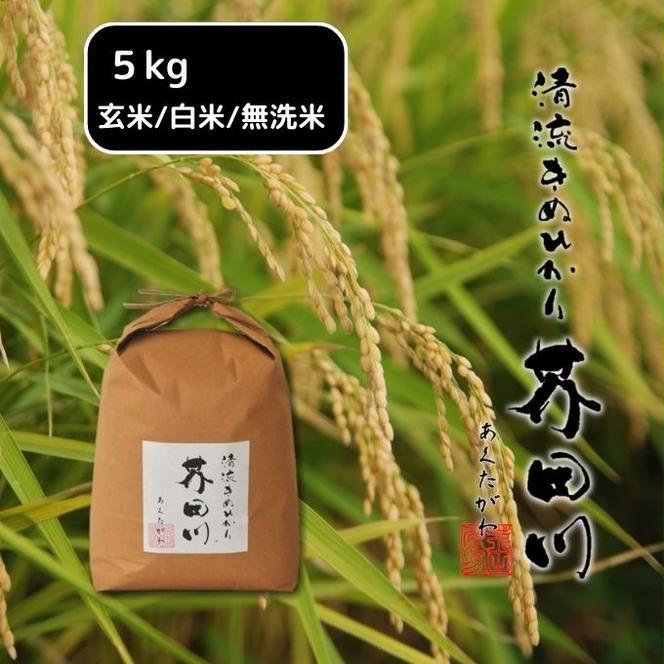 米 【令和5年産新米】 キヌヒカリ 5kg 精米 奥播州源流 芥田川産 芥