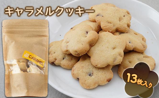 【手作り】 クッキー4袋セット（チョコチップ・プレーン・ココア・キャラメル・ふわふわ） 北海道 伊達市