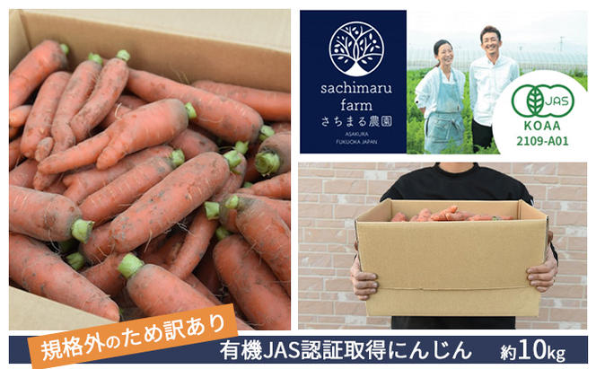 訳あり 規格外 にんじん 約10kg 有機JAS認証取得 栽培期間中農薬 除草剤 化学肥料不使用