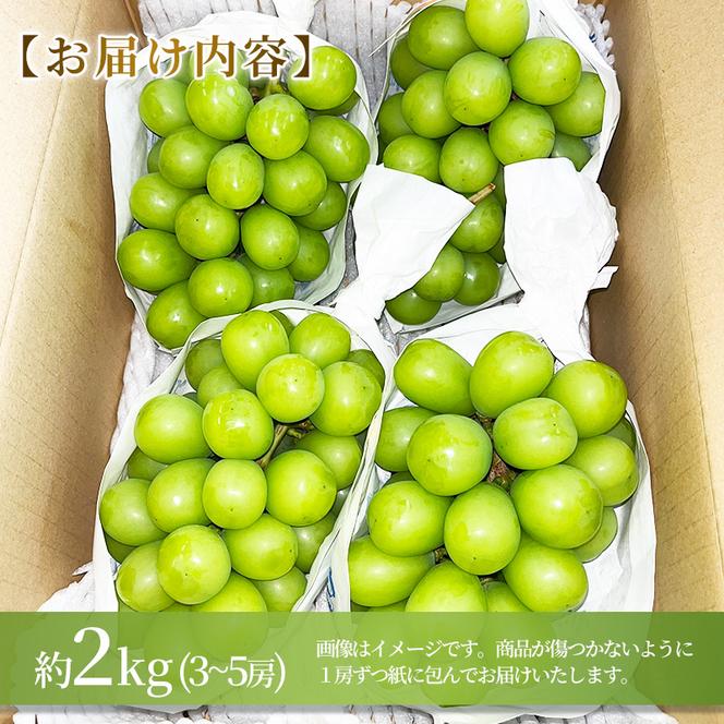 志賀高原の麓で育った シャインマスカット 3～5房 約2kg ※お届け日時指定不可 ぶどう フルーツ 果物 デザート 長野県 長野