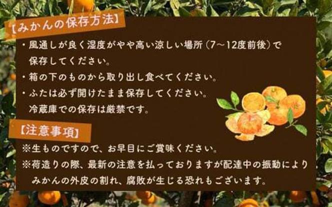 北真農園　有田みかん 家庭用 3kg 濃厚完熟 お試しサイズ ORYY推奨 ※2024年11月上旬～12月下旬頃に順次発送予定