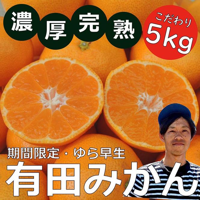 北真農園 有田みかん ゆら早生 濃厚完熟 5kg お試しサイズ ORYY推奨 ※2024年11月上旬～12月下旬頃に順次発送予定