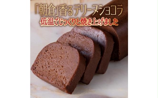 チョコレート ケーキ ガトーショコラ 1本 約170g スイーツ 洋菓子 濃厚 大人の生ガトーショコラ 配送不可 離島