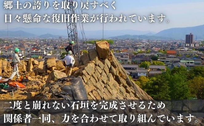 【復興支援/寄附のみ】丸亀城石垣修復プロジェクト/５千円