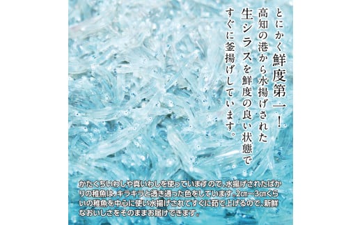 t201mmk　〈6ヶ月定期便〉訳あり 釜揚げシラス 800g 定期便 定期コース 6ヶ月 しらす シラス 釜揚げ 新鮮 塩分控えめ 離乳食 わけあり ワケあり 不揃い しらす丼 海鮮丼 お茶漬け