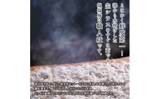 t199mmk　〈12ヶ月定期便〉訳あり 釜揚げシラス 500g×2個 定期便 定期コース 12ヶ月 しらす シラス 釜揚げ 新鮮 塩分控えめ 離乳食 わけあり ワケあり 不揃い しらす丼 海鮮丼 お茶漬け