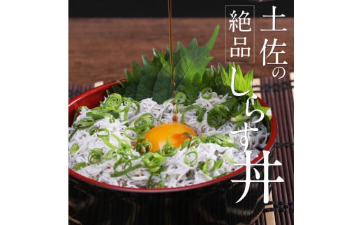 〈3ヶ月定期便〉訳あり 釜揚げシラス 500g×2個 定期便 定期コース 3ヶ月 しらす シラス 釜揚げ 新鮮 塩分控えめ 離乳食 わけあり ワケあり 不揃い しらす丼 海鮮丼 お茶漬け