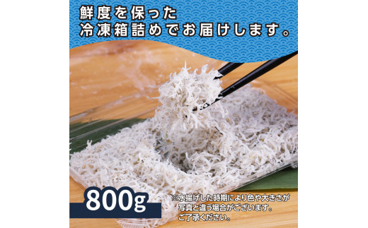 MMK009　訳あり 釜揚げしらす 800g しらす シラス 釜揚げ 新鮮 塩分控えめ 赤ちゃん 子供 離乳食 わけあり ワケあり 不揃い しらす丼 海鮮丼 お茶漬け ごはん 冷凍配送 海鮮