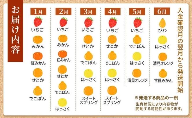 フルーツ 定期便 12ヶ月 旬のフルーツ 丸亀讃果 セット 詰め合わせ 桃 梨 ぶどう マスカット キウイ 柿 みかん いちご せとか はっさく デコポン オレンジ 清見オレンジ 旬の果物 果物 くだもの 12回 1年 お楽しみ 香川