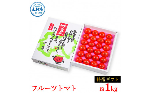 ＜2025年1月より発送＞フルーツトマト特選ギフト約1kg トマト フルーツトマト 池トマト 糖度10度以上 高糖度 高知県産 ギフト 箱入り 贈答用 贈り物 健康 美味しい ふるーつとまと お取り寄せグルメ