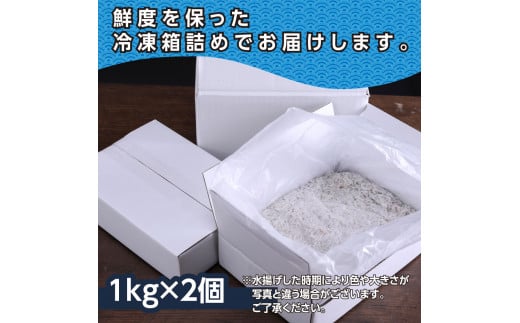 MMK005　訳あり釜揚げシラス1kg×2個 高知県産 釜揚げしらす 簡易梱包 わけあり 不揃い シラス 国産 釜揚げ 新鮮 しらす丼 海鮮丼 お茶漬け 冷凍配送 塩分控えめ お取り寄せ