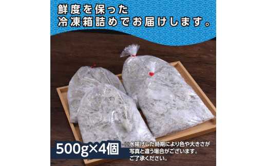 MMK004　訳あり釜揚げシラス500g×4個 高知県産 釜揚げしらす 簡易梱包 わけあり 不揃い シラス 国産 釜揚げ 新鮮 しらす丼 海鮮丼 お茶漬け 冷凍配送 塩分控えめ お取り寄せ