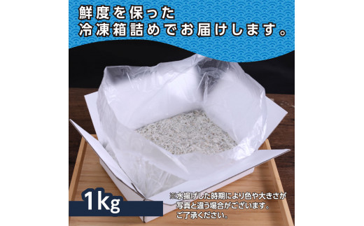 MMK003　上物釜揚げシラス1kg 高知県産 釜揚げしらす 簡易梱包 シラス 国産 釜揚げ 新鮮 しらす丼 海鮮丼 お茶漬け 冷凍配送 塩分控えめ お取り寄せ