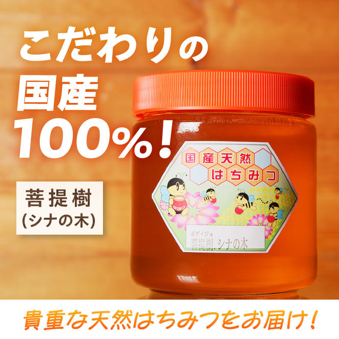 高見養蜂場 の 天然はちみつ (菩提樹、シナの木600g×1本)｜北海道 滝川市 産 はちみつ ハチミツ 天然 菩提樹 シナの木 蜂蜜 天然蜂蜜