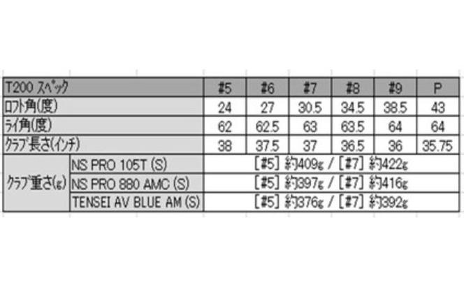 ゴルフクラブ タイトリスト T200 NS 880AMC アイアン 6本 セット ゴルフ クラブ アイアンセット ゴルフクラブセット スポーツ ゴルフ用品 スポーツ用品 GOLF 栃木 鹿沼市