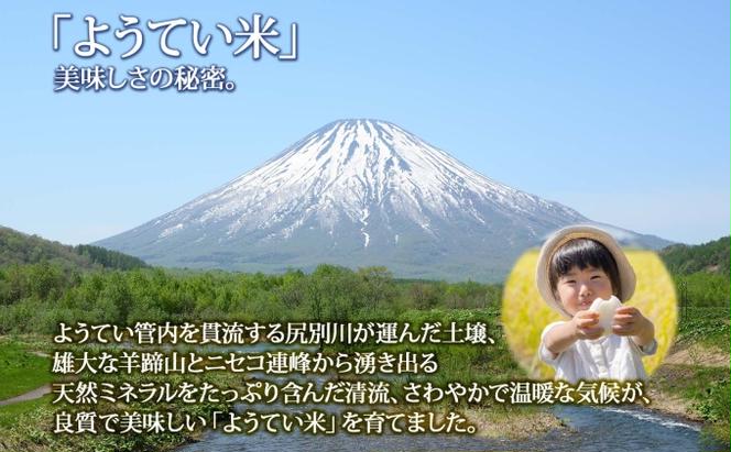 北海道産 ゆめぴりか 精米 5kg お米 米 白米 ブランド米 ご飯 ごはん おにぎり 主食 産直 贈り物 ギフト備蓄 JAようてい 送料無料 北海道 倶知安町 お弁当 和食 直送 産地直送 