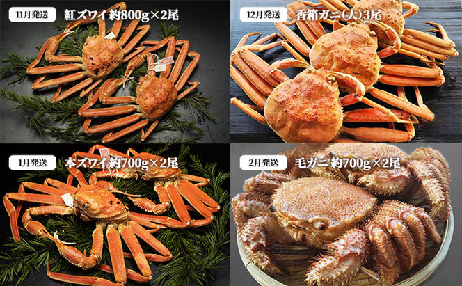 【射水の蟹祭り！定期便】蟹の食べ比べ 4カ月連続でお届け！冬季限定