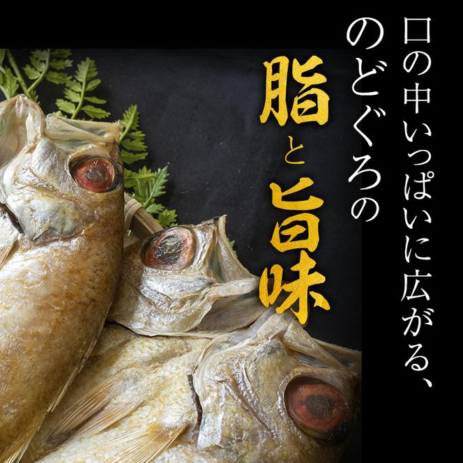 のどぐろ 定期便 2ヶ月 一や干し 3枚×2回お届け 富山 干物 ひもの 国産 ノドグロ 惣菜 おかず ごはんのお供 加工食品 冷凍 冷凍食品 魚 魚介類 魚介 海産物 定期 お楽しみ 2回