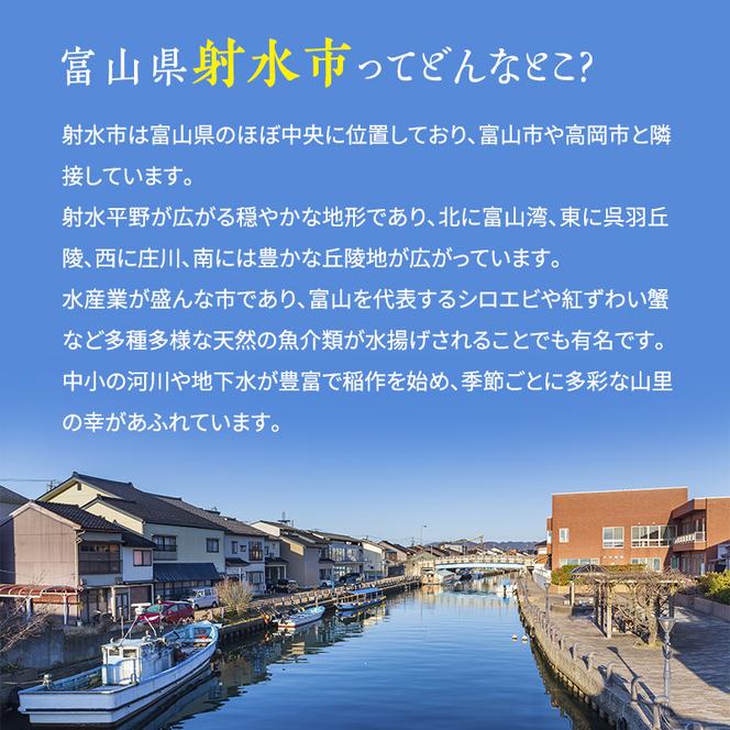 のどぐろ 定期便 2ヶ月 一や干し 3枚×2回お届け 富山 干物 ひもの 国産 ノドグロ 惣菜 おかず ごはんのお供 加工食品 冷凍 冷凍食品 魚 魚介類 魚介 海産物 定期 お楽しみ 2回