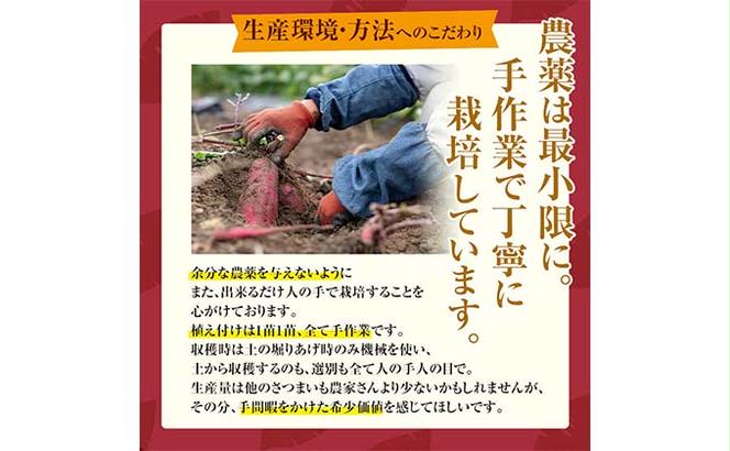 FKK19-631_【先行予約】嘉島町産さつまいも「紅はるか」3kg 土付き ＜2024年11月下旬から順次発送＞ サツマイモ イモ 焼き芋 野菜