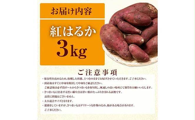 FKK19-631_【先行予約】嘉島町産さつまいも「紅はるか」3kg 土付き ＜2024年11月下旬から順次発送＞ サツマイモ イモ 焼き芋 野菜