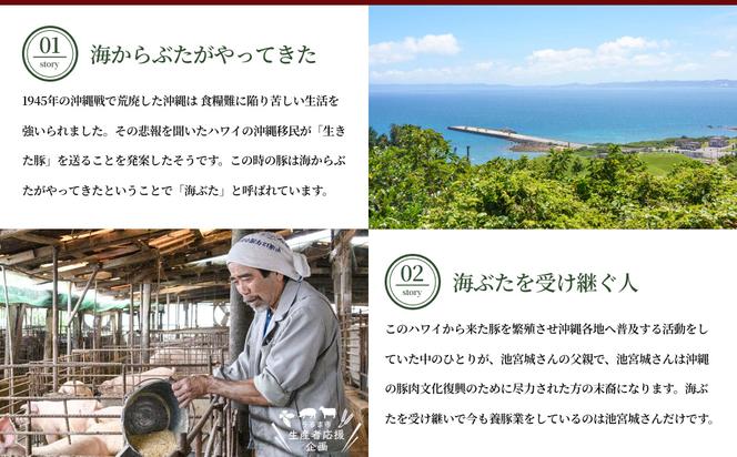 【生産者応援企画】【お手軽調理！】うるまの海ぶた　箸で切れる柔らか味噌らふてい＆ロース味噌漬け　計880g