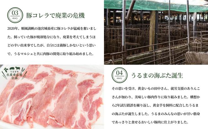 【生産者応援企画】【お手軽調理！】うるまの海ぶた　箸で切れる柔らか味噌らふてい＆ロース味噌漬け　計880g