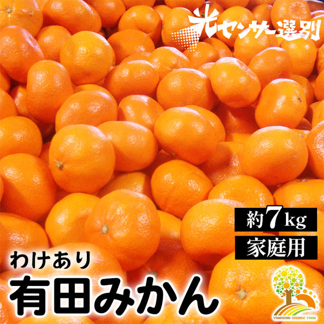 ＼光センサー選別／ 訳あり 有田みかん 約7kg  【ご家庭用】
※着日指定不可
※北海道・沖縄・離島への配送不可
※2024年11月中旬～2025年1月上旬頃に順次発送予定