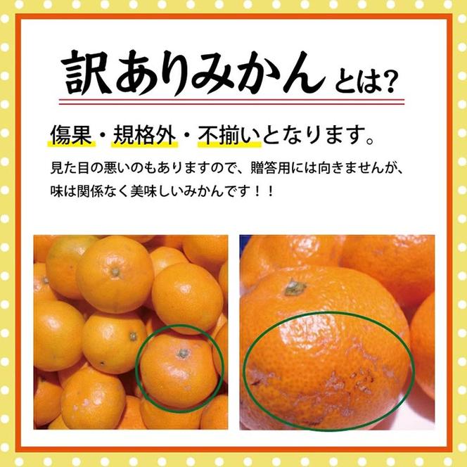 ＼光センサー選別／ 訳あり 有田みかん 約7kg  【ご家庭用】
※着日指定不可
※北海道・沖縄・離島への配送不可
※2024年11月中旬～2025年1月上旬頃に順次発送予定