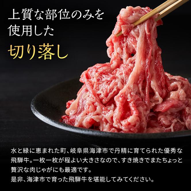 飛騨牛 岐阜県海津市産 すき焼き 切り落とし 500g 牛肉