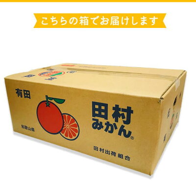 AB7113n_【和歌山特産品】【プレミアムブランド】絶品！ 田村みかん 5kg (2Sサイズ)