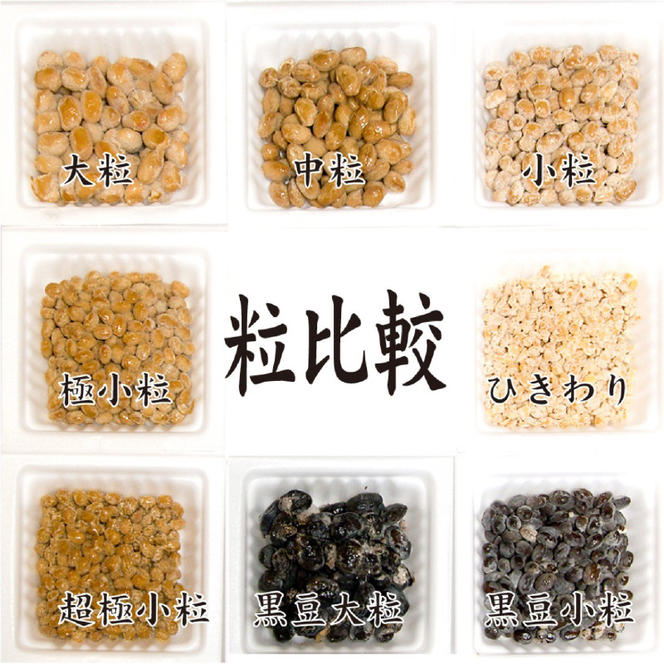 北海道のガッツリ納豆極小粒（100g×3入）10個
