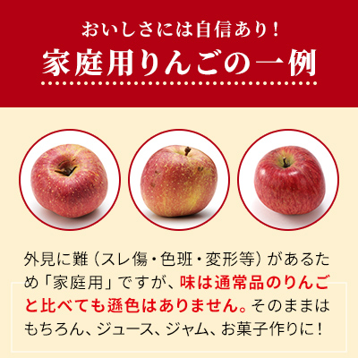 信州小諸産 サンふじ りんご 家庭用 約10kg 長野県産 果物 フルーツ 林檎
