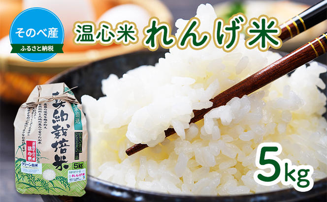 米 コシヒカリ れんげ米 5kg ×1袋 そのべ産 温心米 2023年度産 お米 単一原料米 こしひかり 丹波 精米 白米 こめ コメ 京都