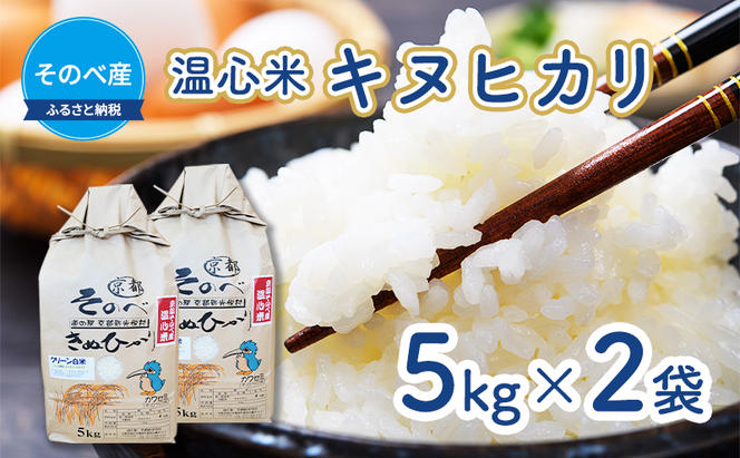 米 キヌヒカリ 5kg ×2袋 そのべ産 温心米 2023年度産 お米 10kg 単一原料米 きぬひかり 丹波 精米 白米 こめ コメ 京都