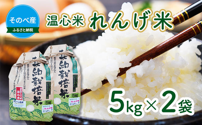 米 コシヒカリ れんげ米 5kg ×2袋 そのべ産 温心米 2023年度産 お米 単一原料米 こしひかり 丹波 精米 白米 こめ コメ 京都