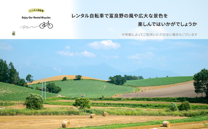 【2024年9月～11月限定】北海道 富良野市 宿泊券 30,000円分 素泊まり (1泊3～5名様利用）富良野ログハウス ファームリゾート 自然 体験 家族 大人数