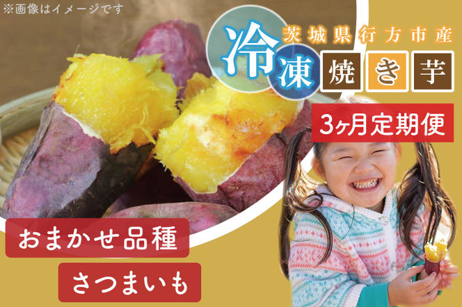 EY-7　【３ヶ月定期便】茨城県行方市産熟成紅はるかの冷凍焼き芋約1.2キロ！おまけ付‼合計約1.3キロ!!!