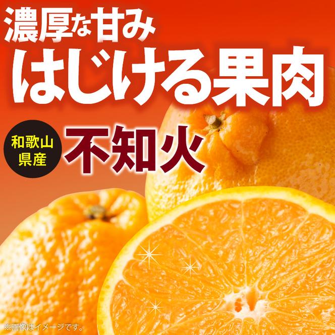 AB6196n_こだわり農家の濃厚 不知火 (デコポンと同品種) 12～18玉(5kg)