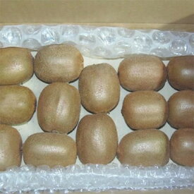 ZD6233n_【先行予約】有田でとれた 完熟 キウイフルーツ 2kg (M～3Lサイズ混合)