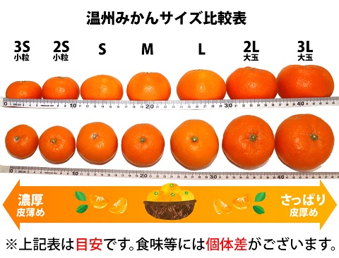 ZA95013_田村みかん 約4kg(Sサイズ)　紀州グルメ市場